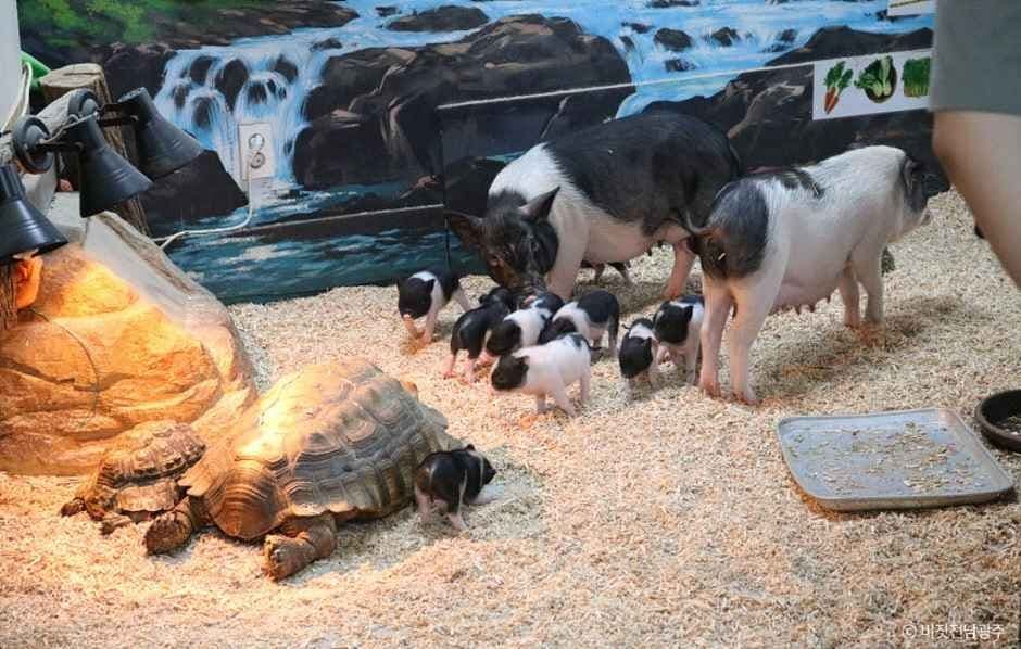광주벅스랜드 사진 3