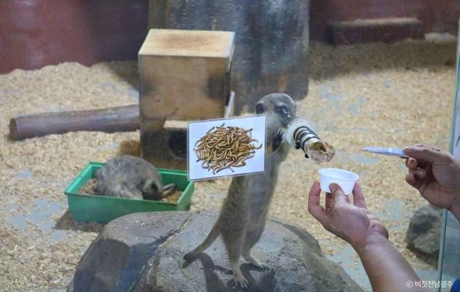광주벅스랜드 사진 4