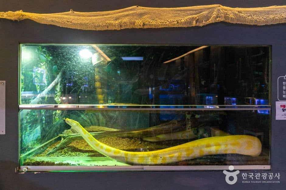 충주자연생태체험관 사진 4