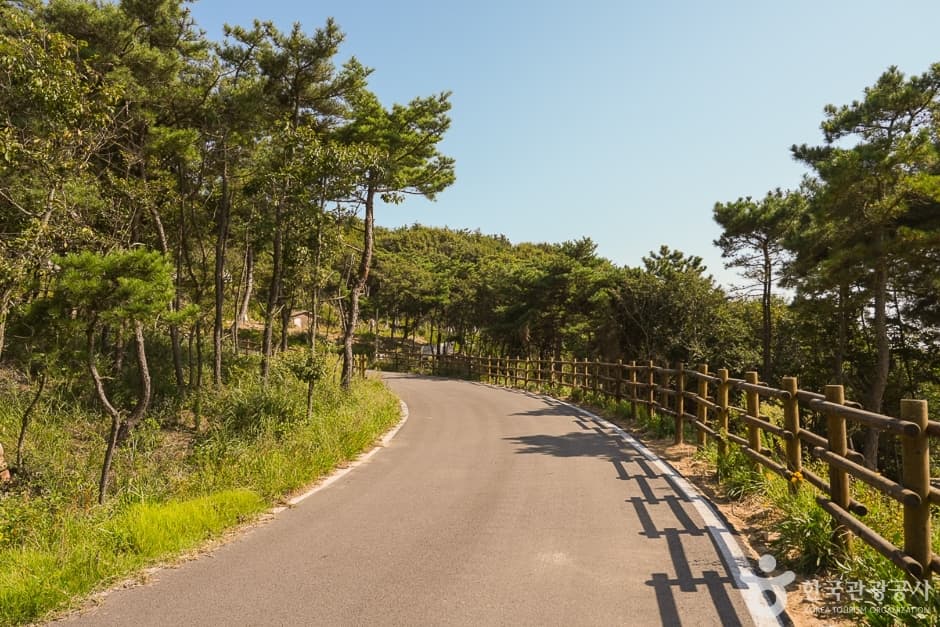 국립무의도자연휴양림 사진 1