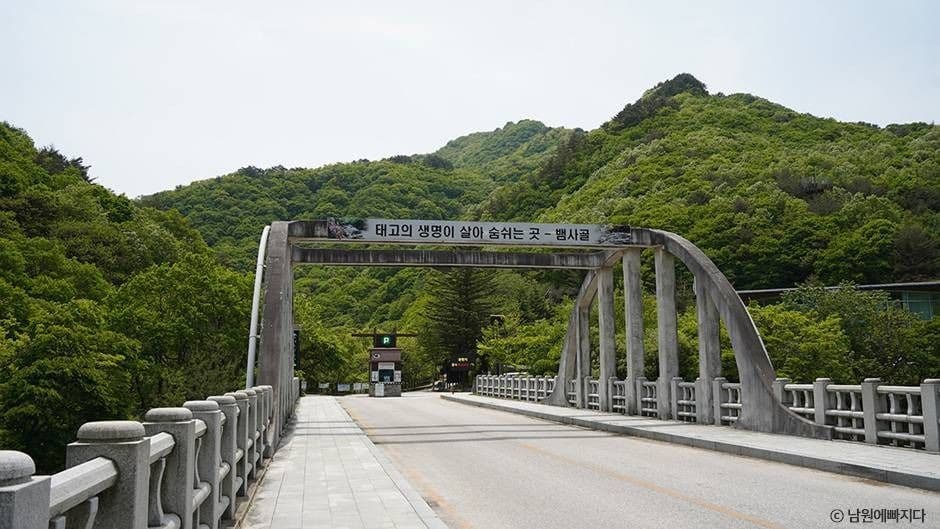 뱀사골계곡 사진 2
