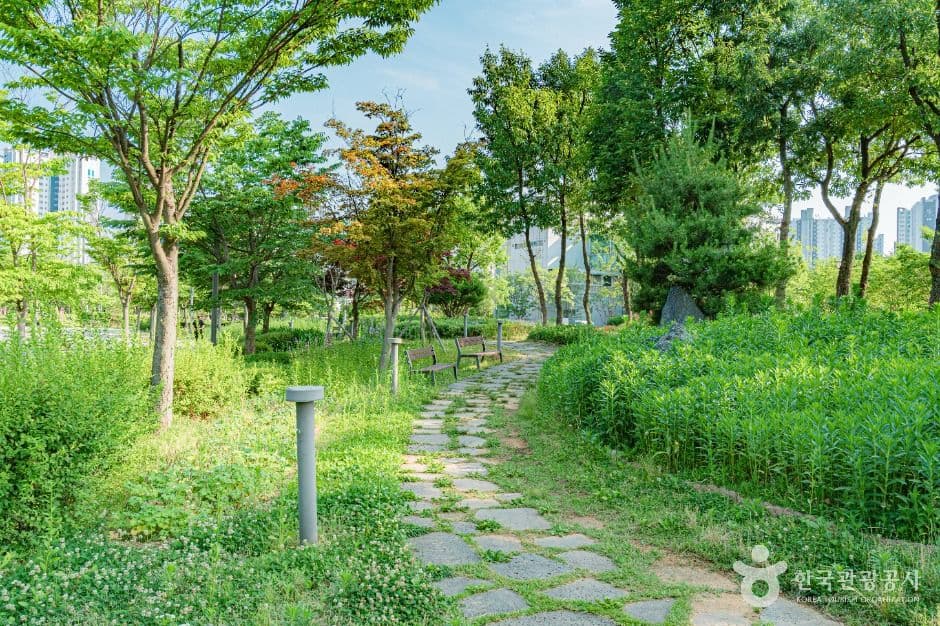 한강중앙공원 사진 2