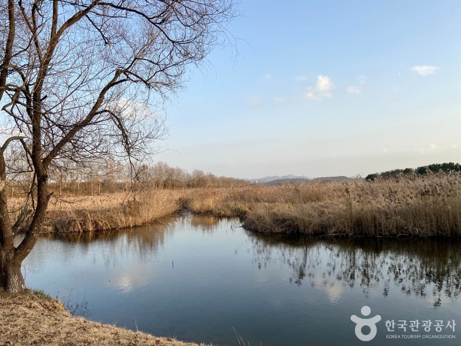 안산갈대습지공원 사진 3
