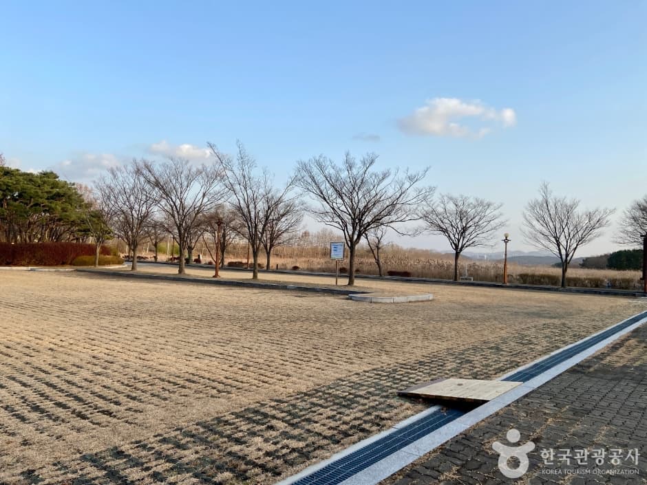 안산갈대습지공원 사진 4