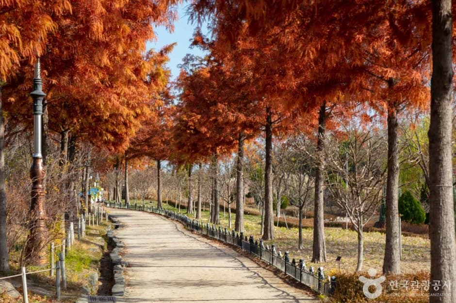 한밭수목원 사진 3