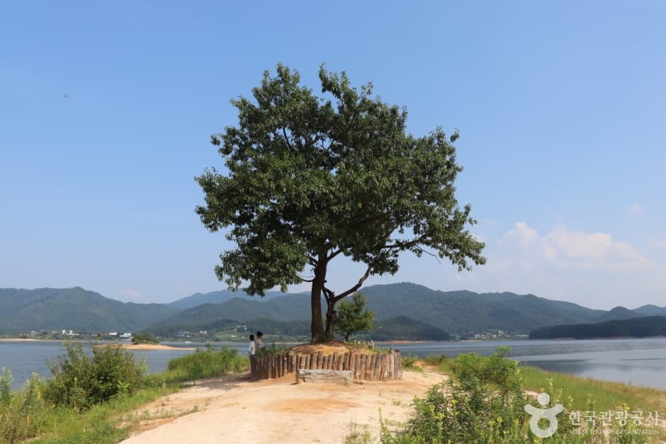 명상정원 사진 5