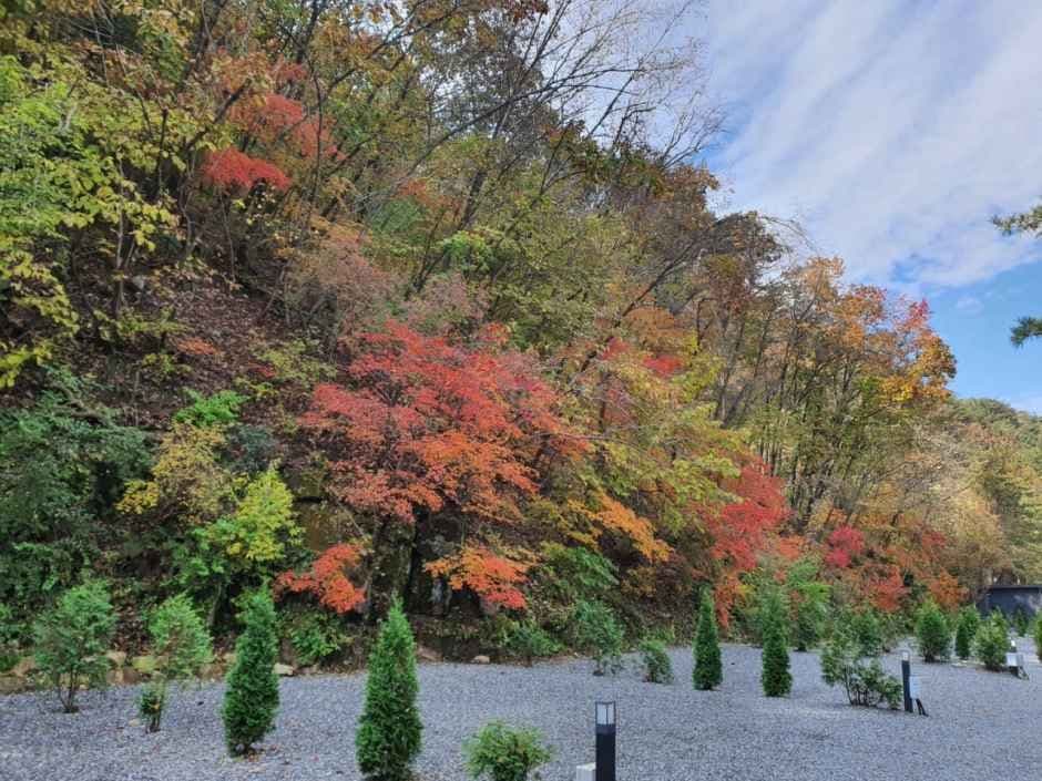 산정호수돌고래캠핑장 사진 5