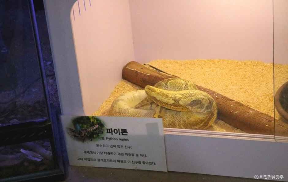 광주벅스랜드 사진 1