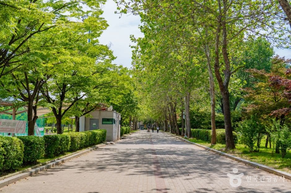 옥구공원 사진 5