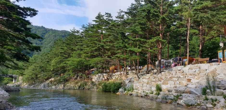 샘골솔밭야영장 사진 4
