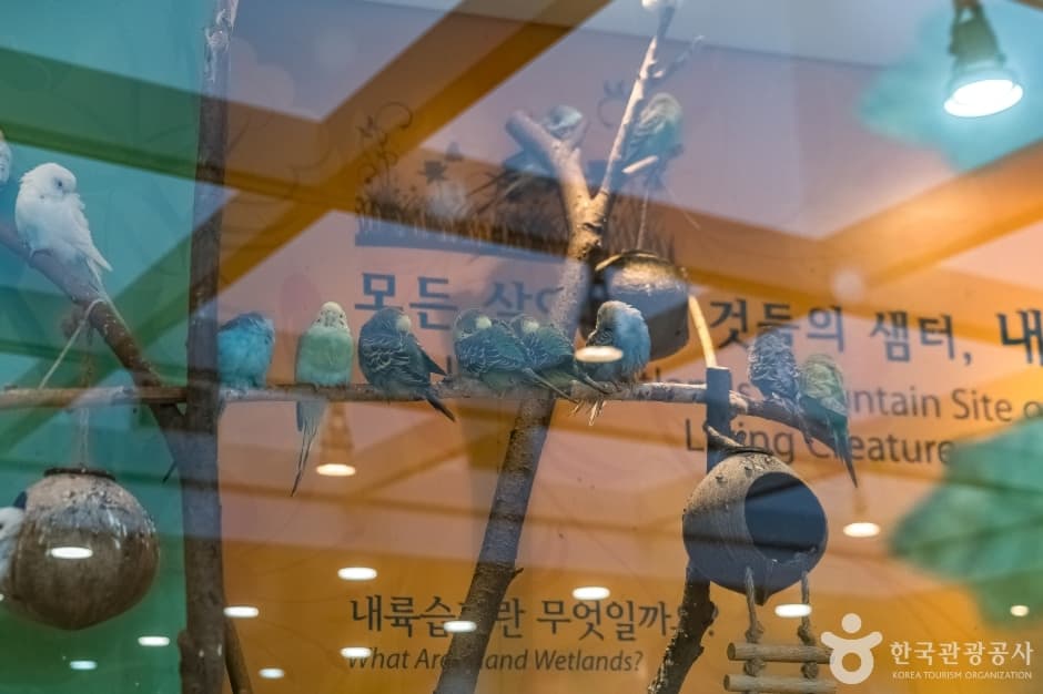토끼의 숲 사진 1