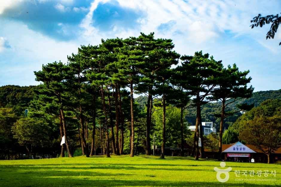 율동공원 사진 2