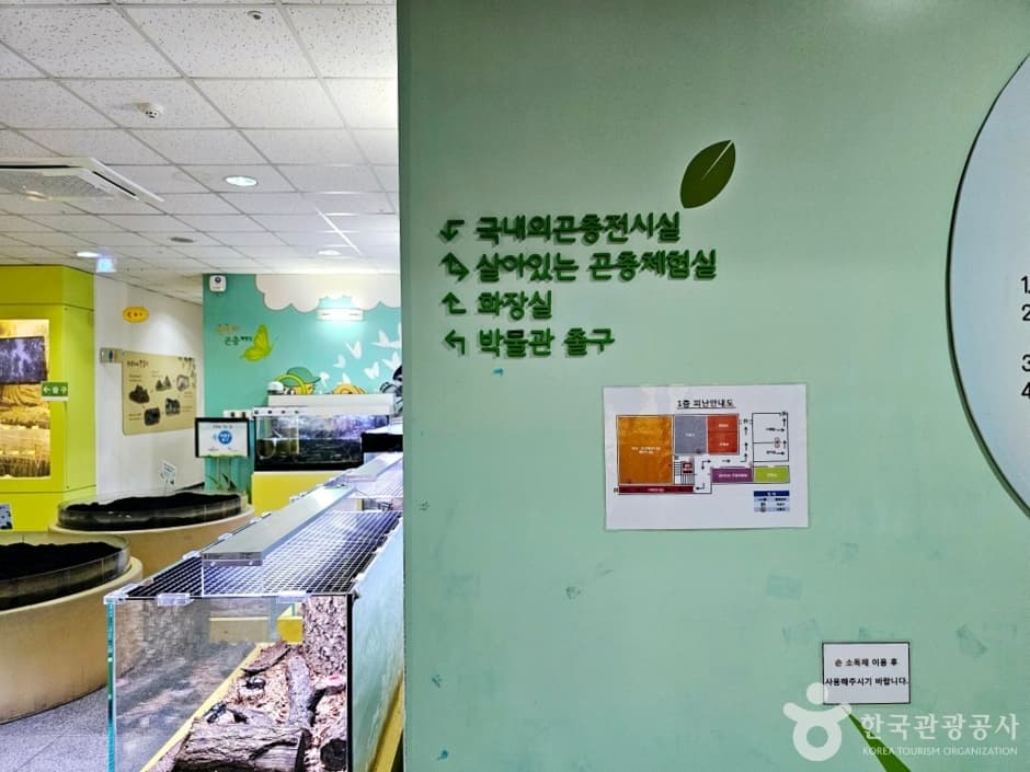 양평곤충박물관 사진 4