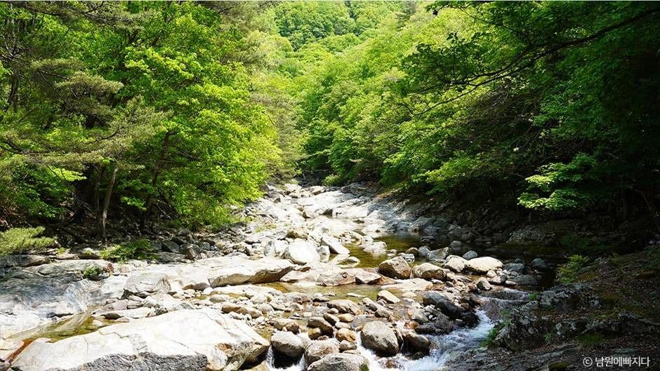뱀사골계곡 사진 5
