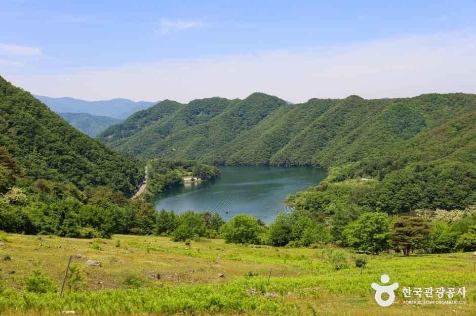 해피초원목장 사진 1