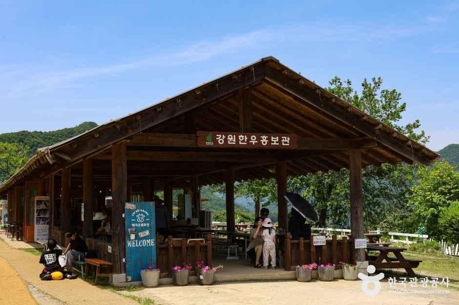 해피초원목장 사진 2