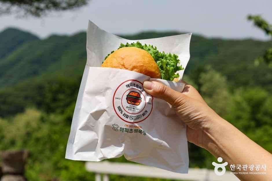 해피초원목장 사진 4