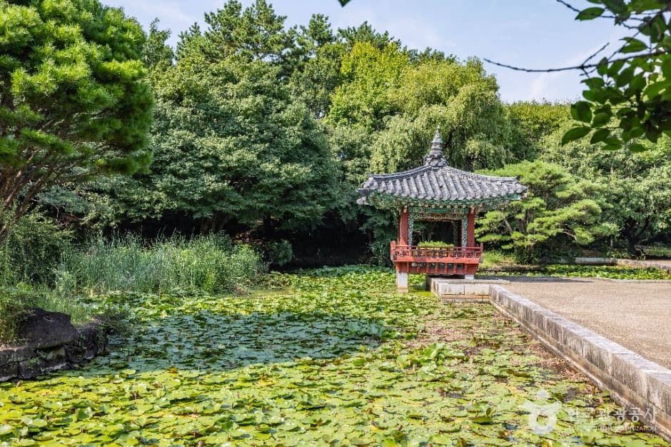 여미지식물원 사진 1