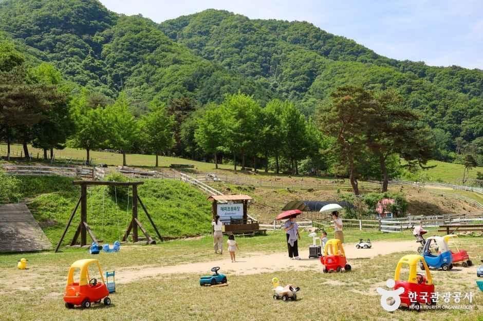 해피초원목장 사진 5
