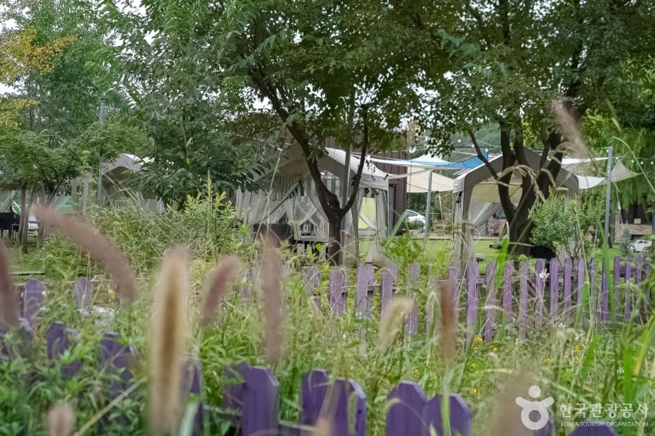 놀이정원풀빛 사진 1