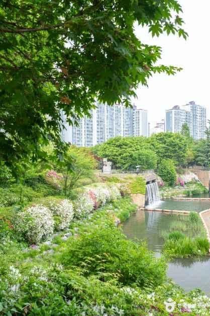 장자호수공원 사진 4