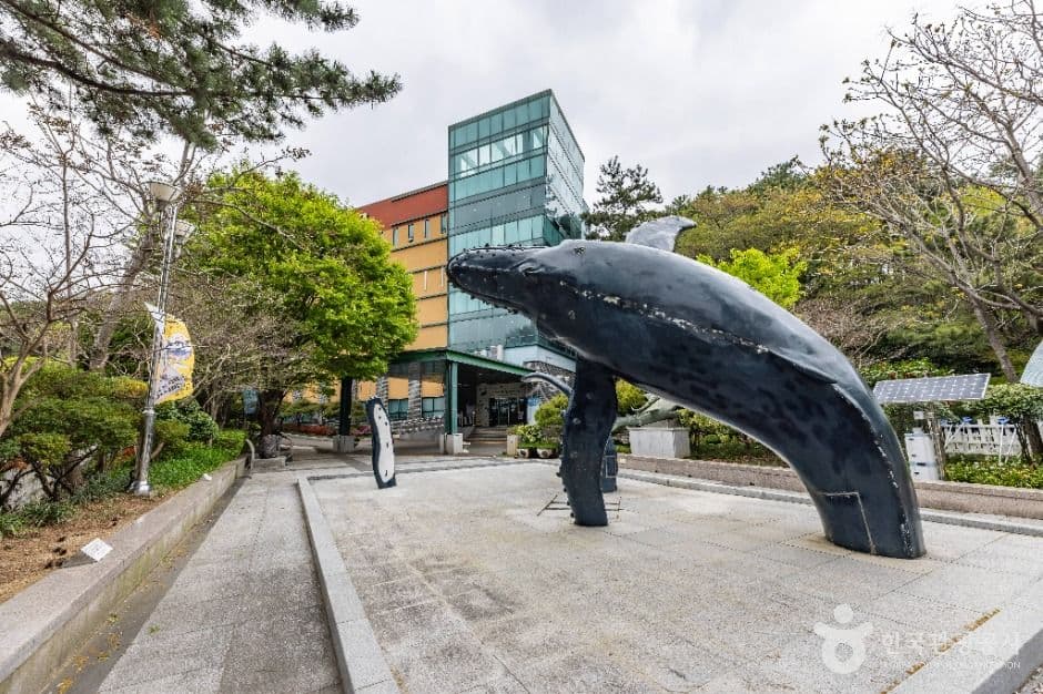 부산해양자연사박물관 사진 1