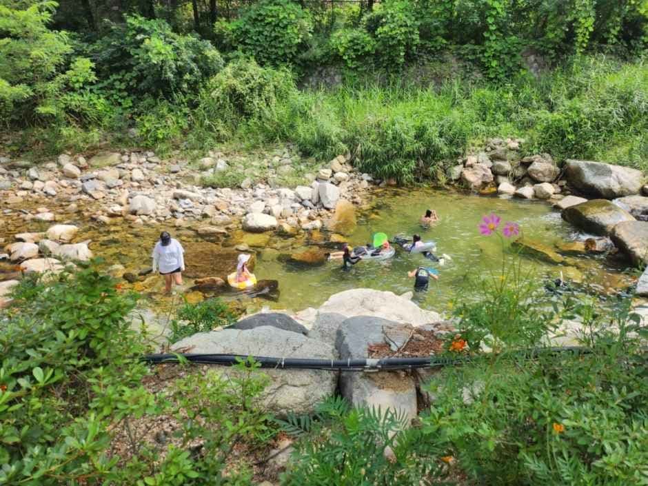 산정호수돌고래캠핑장 사진 1
