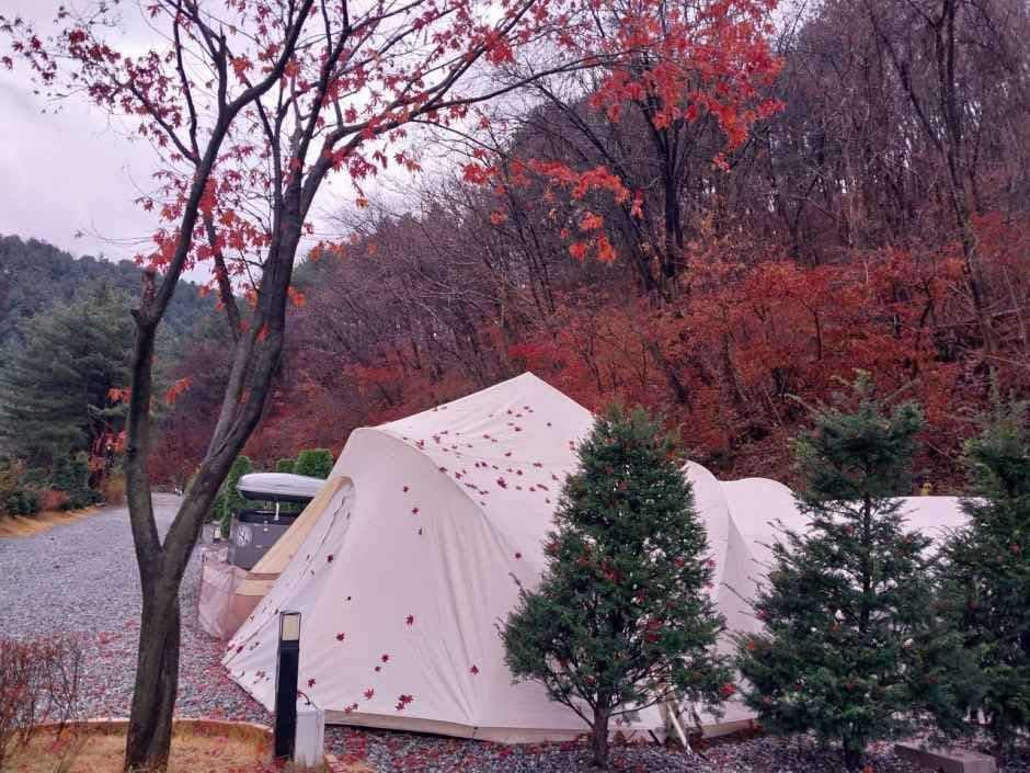 산정호수돌고래캠핑장 사진 4